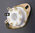 International Octal chassis mount gold plated socket fits EL34 5881 6L6